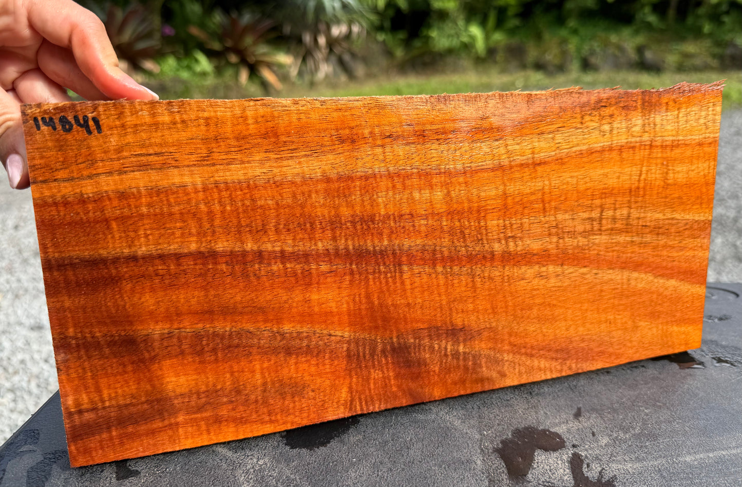 Hawaiian Curly Koa Board #14841