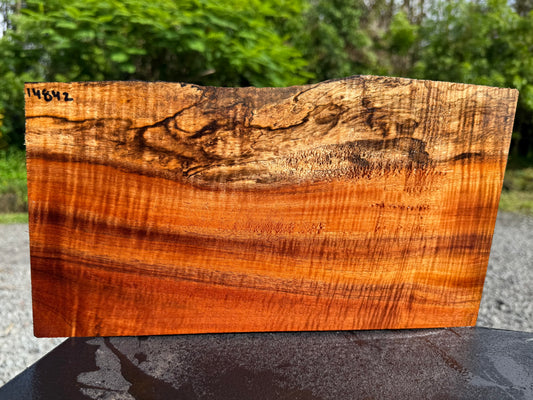 Hawaiian Curly Koa Board #14842