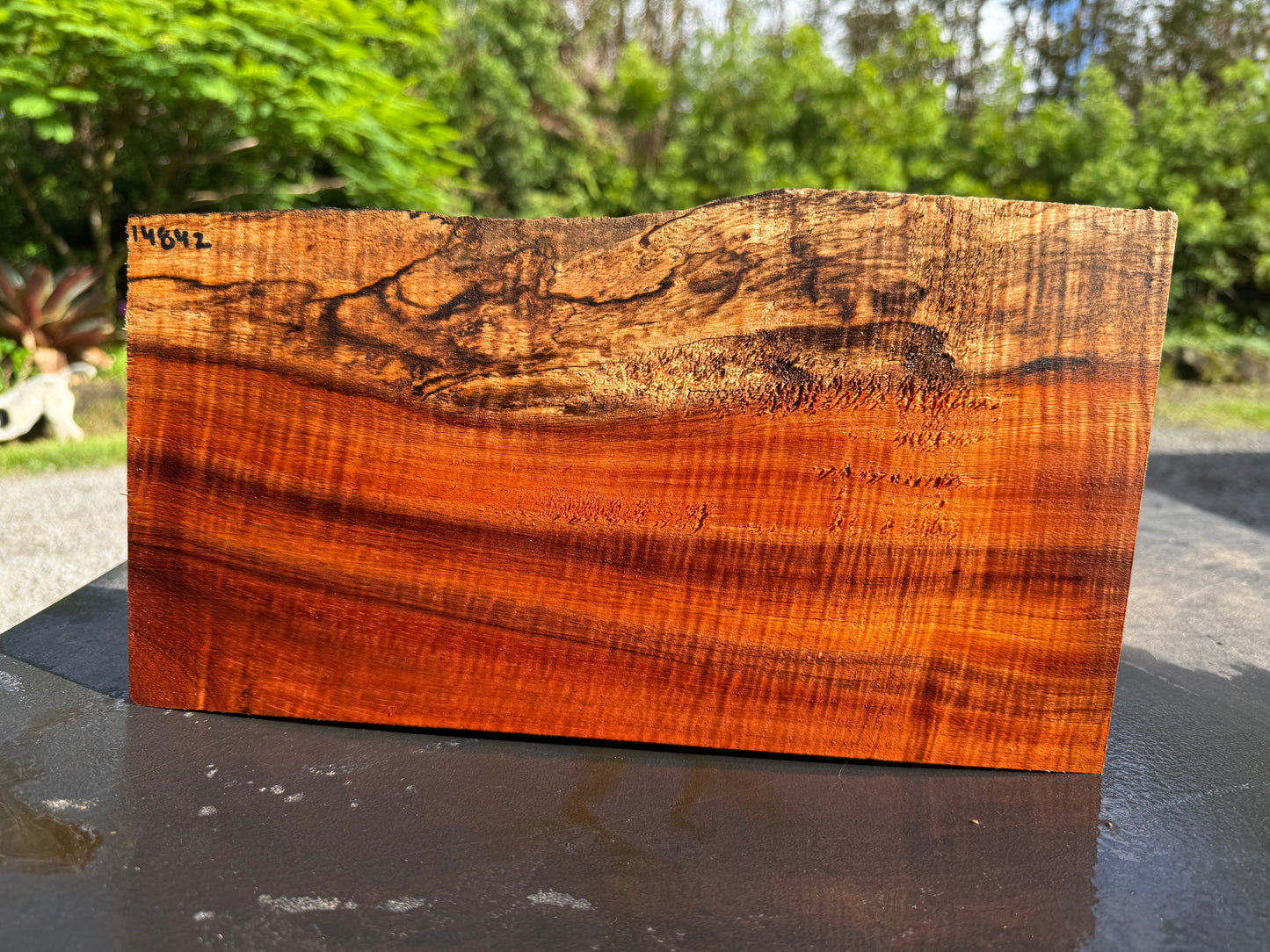 Hawaiian Curly Koa Board #14842