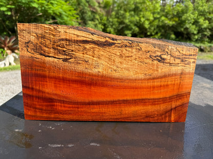 Hawaiian Curly Koa Board #14842