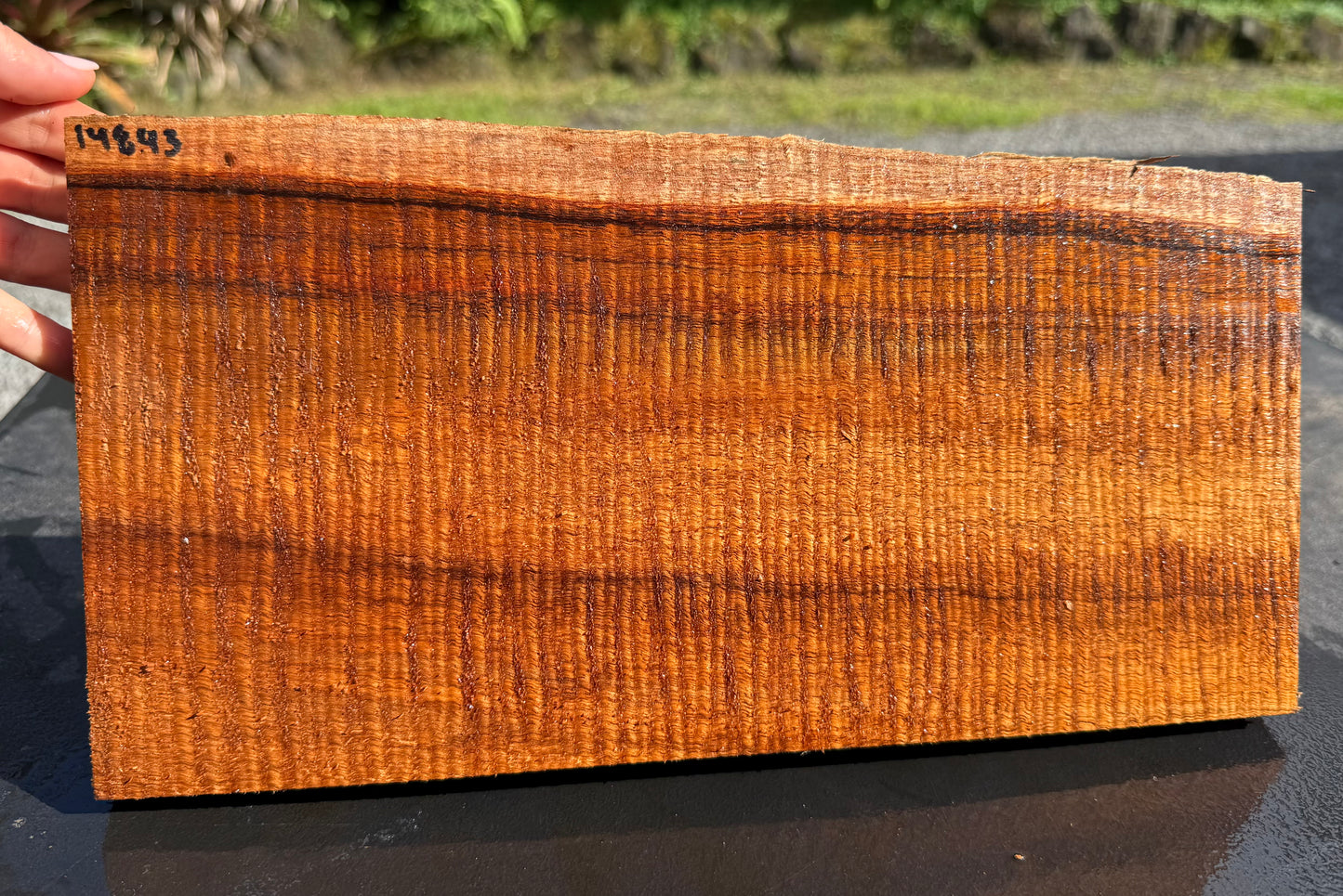 Hawaiian Curly Koa Board #14843