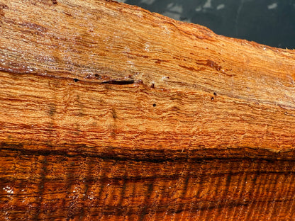 Hawaiian Curly Koa Board #14843
