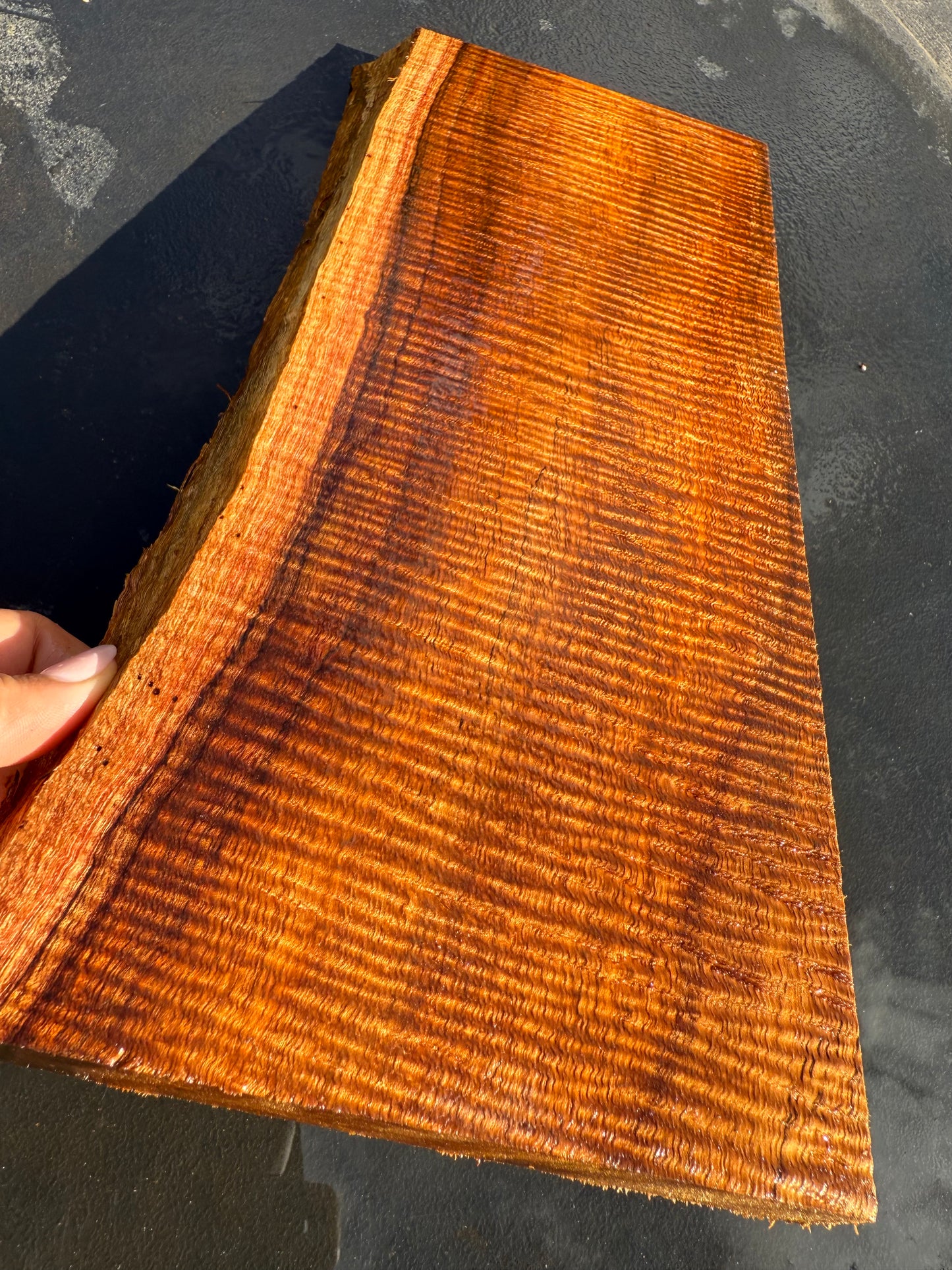 Hawaiian Curly Koa Board #14844