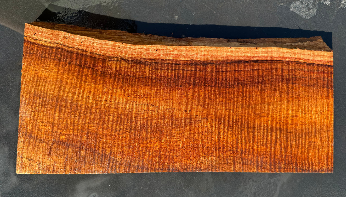Hawaiian Curly Koa Board #14844