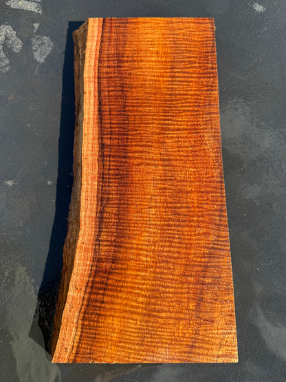 Hawaiian Curly Koa Board #14844