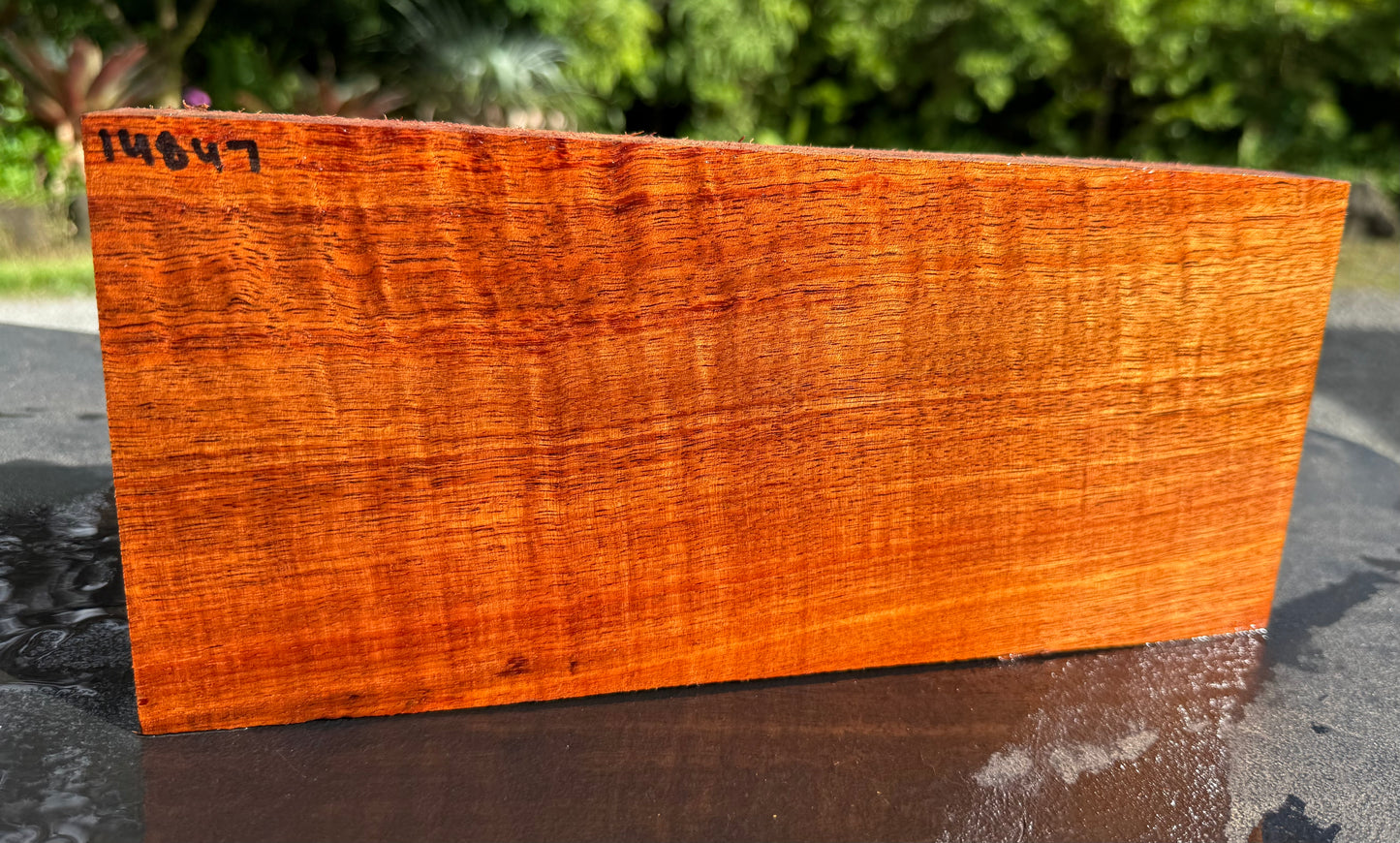 Hawaiian Curly Koa Board #14847