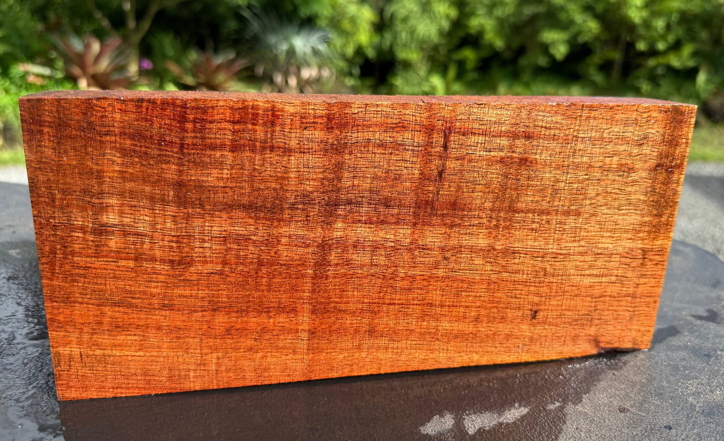 Hawaiian Curly Koa Board #14847
