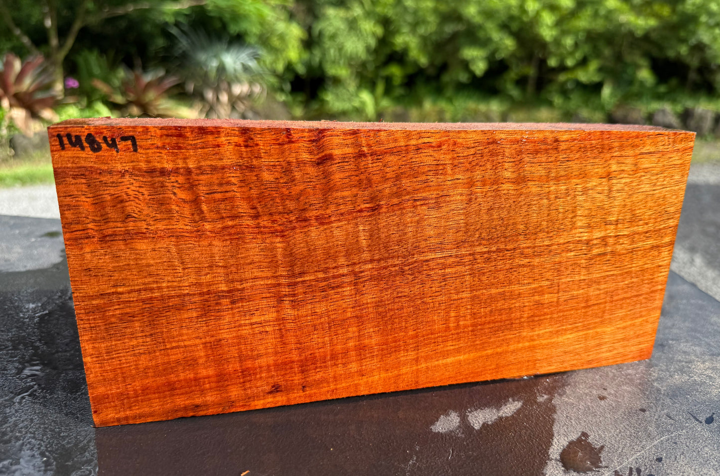 Hawaiian Curly Koa Board #14847
