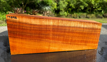 Hawaiian Curly Koa Board #14848