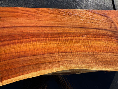 Hawaiian Curly Koa Board #14849