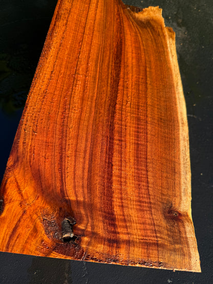 Hawaiian Curly Koa Board #14849