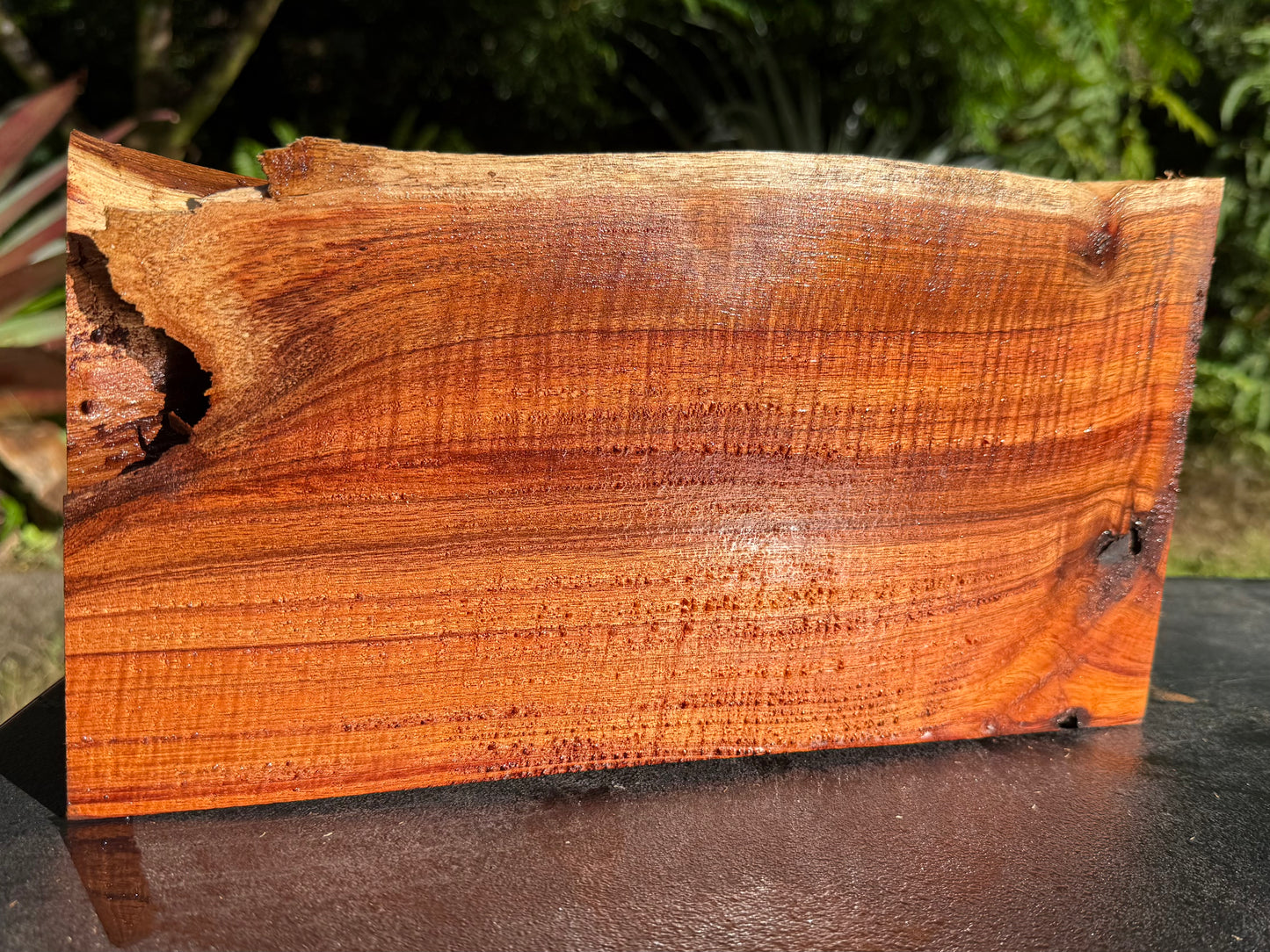 Hawaiian Curly Koa Board #14849