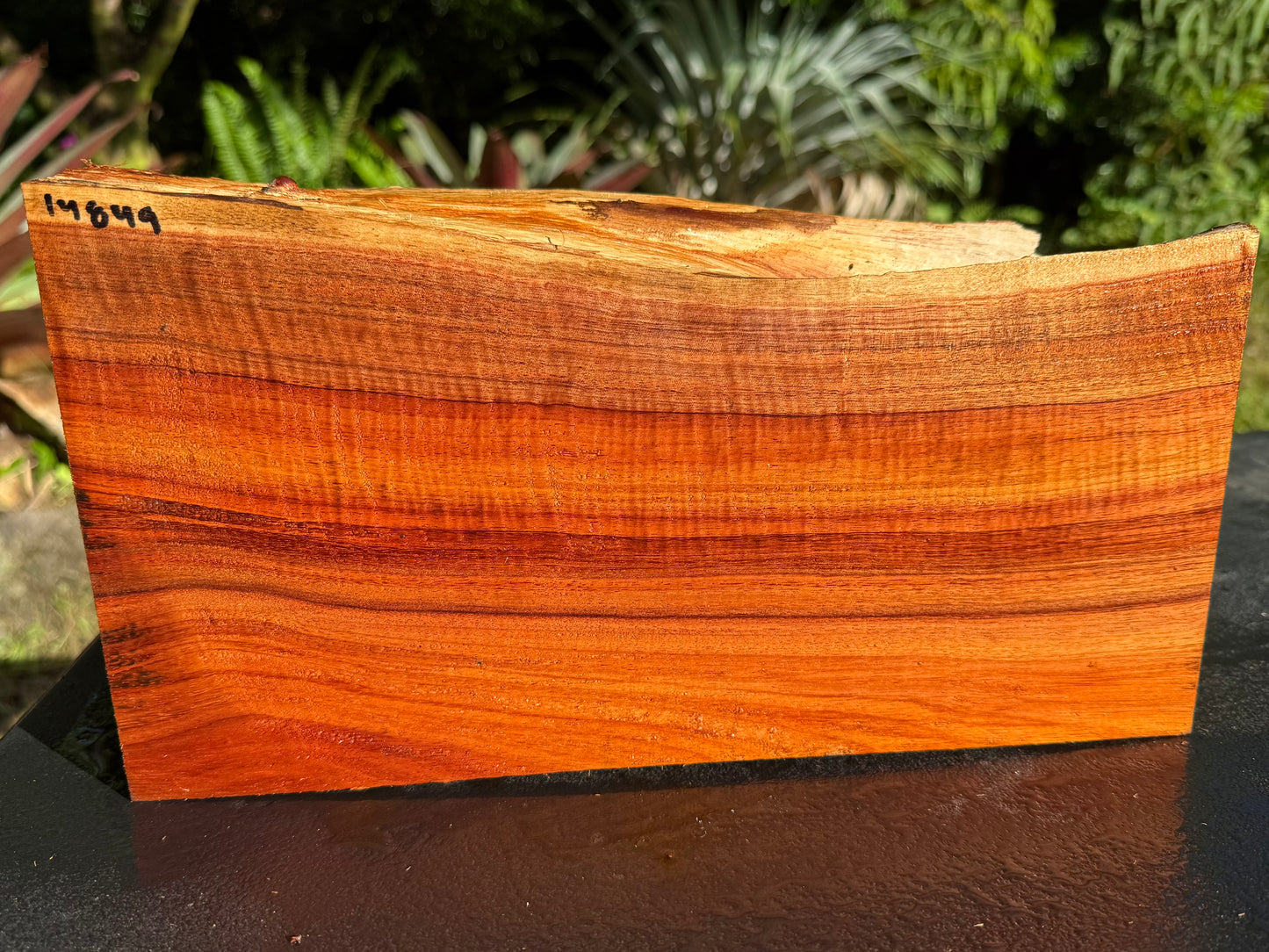 Hawaiian Curly Koa Board #14849