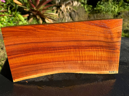 Hawaiian Curly Koa Board #14849