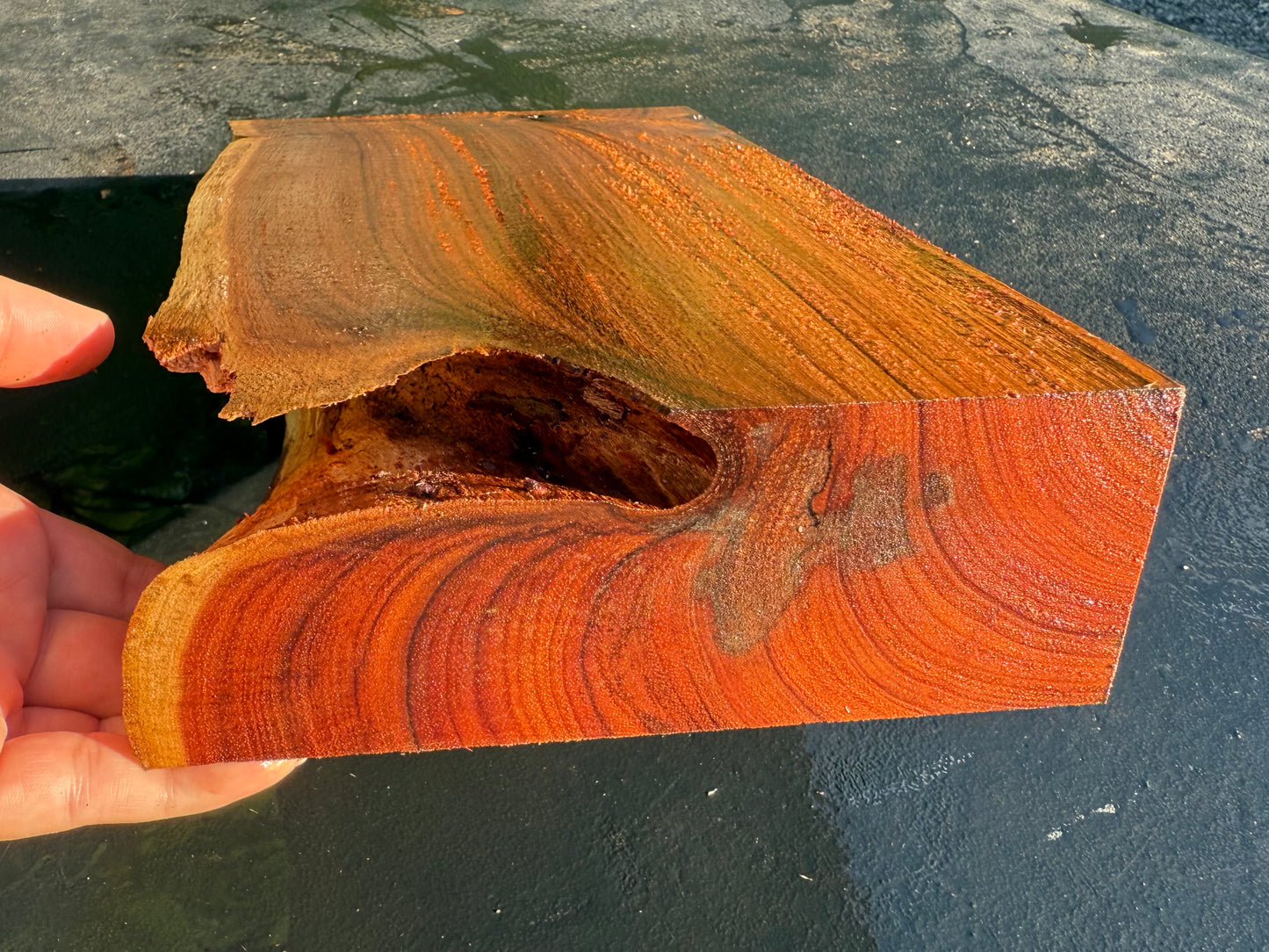 Hawaiian Curly Koa Board #14849