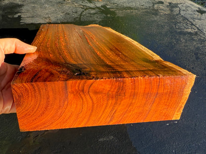 Hawaiian Curly Koa Board #14849