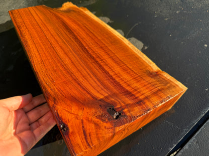 Hawaiian Curly Koa Board #14849