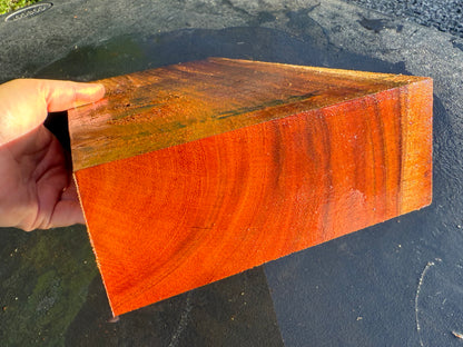 Hawaiian Curly Koa Board #14850
