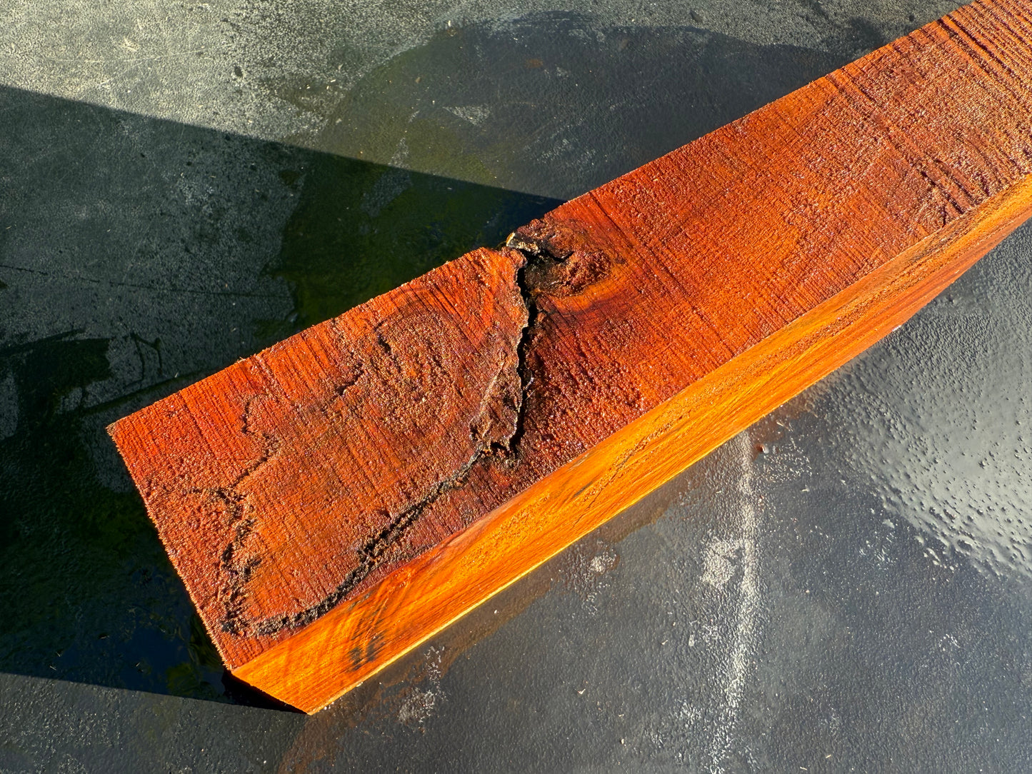Hawaiian Curly Koa Board #14850