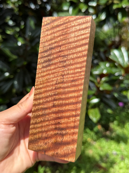 Hawaiian Stabilized Curly Mango Block #KS353