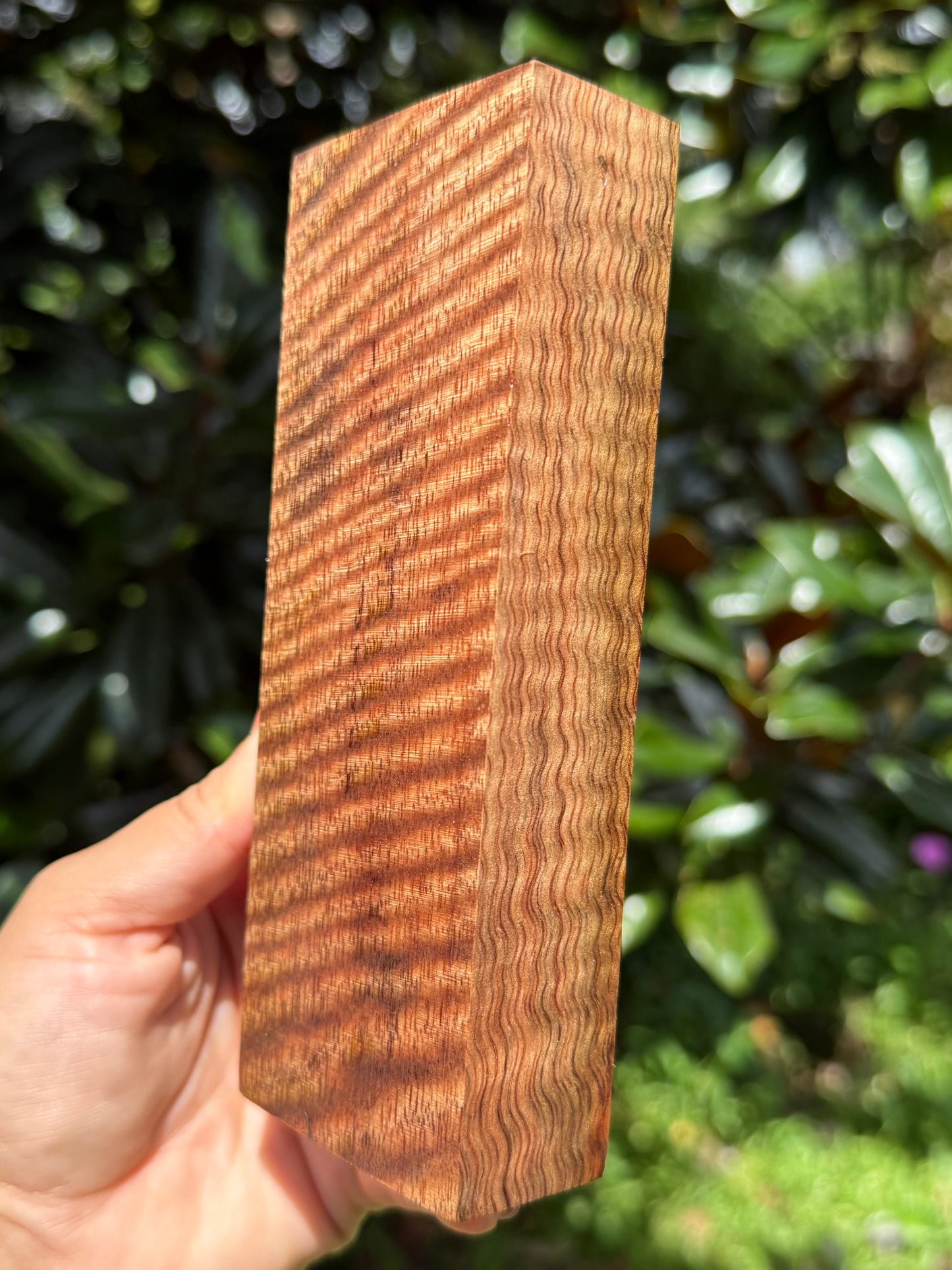 Hawaiian Stabilized Curly Mango Block #KS353