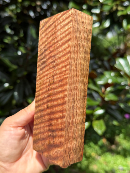 Hawaiian Stabilized Curly Mango Block #KS353
