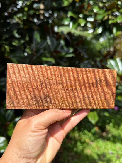 Hawaiian Stabilized Curly Mango Block #KS353