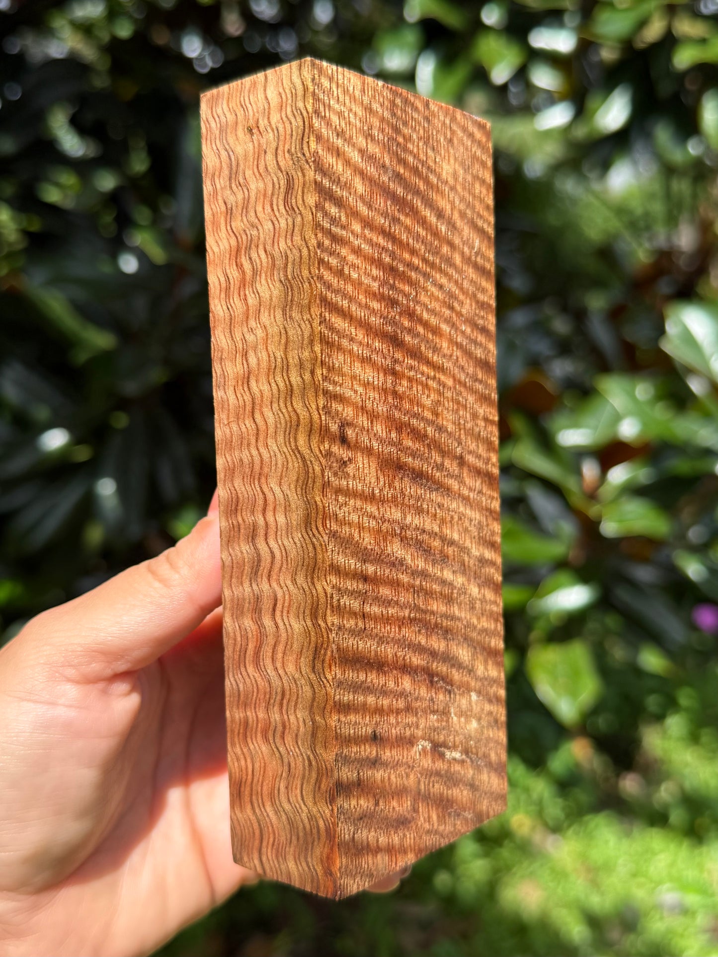 Hawaiian Stabilized Curly Mango Block #KS353