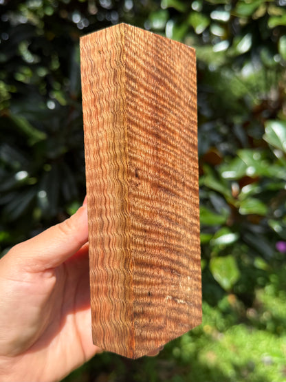 Hawaiian Stabilized Curly Mango Block #KS353