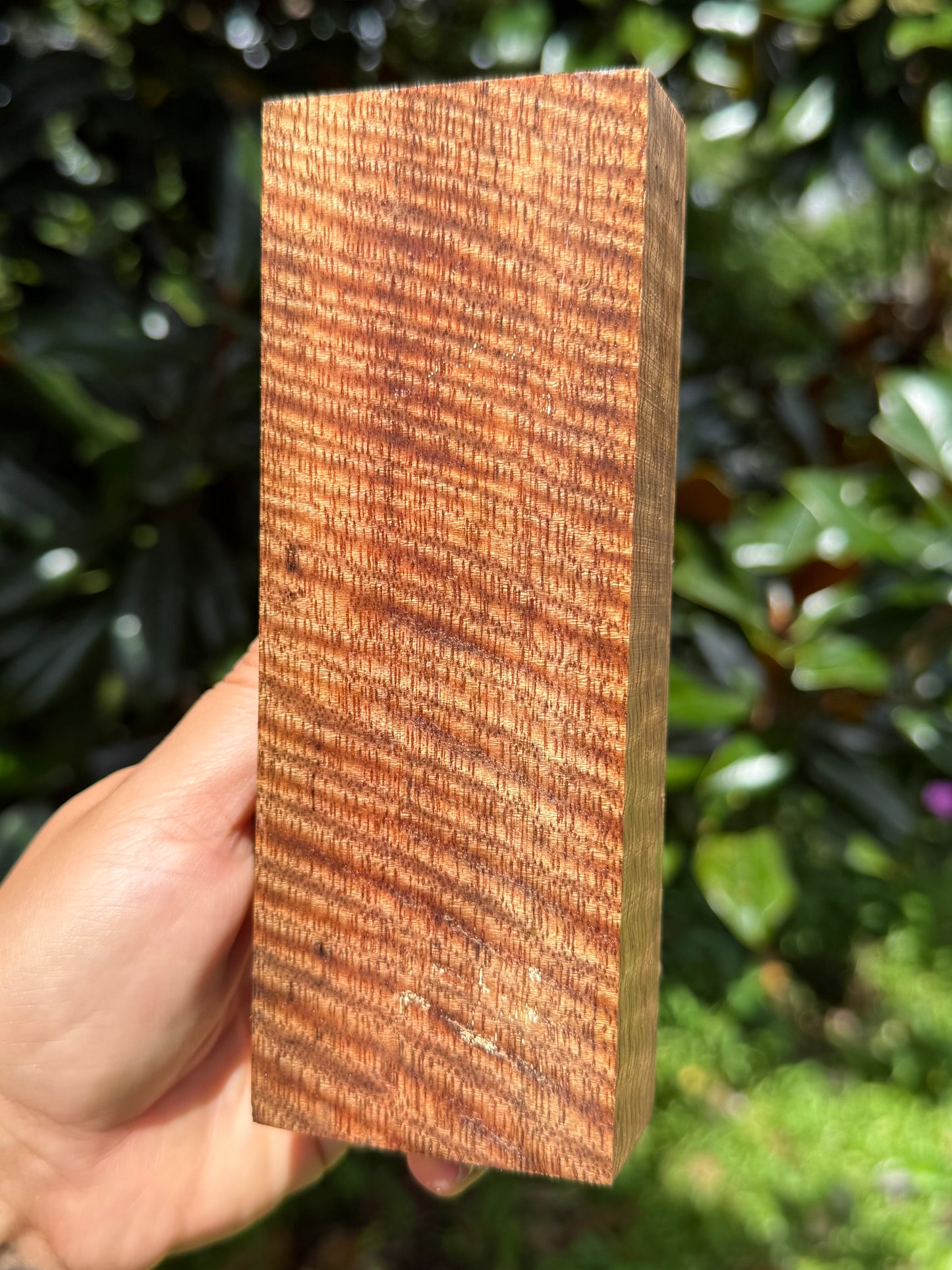 Hawaiian Stabilized Curly Mango Block #KS353