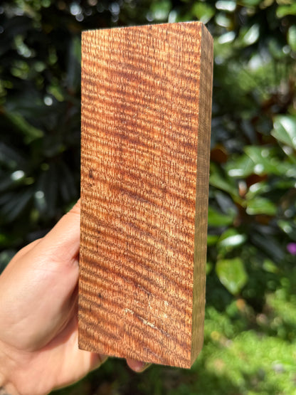 Hawaiian Stabilized Curly Mango Block #KS353