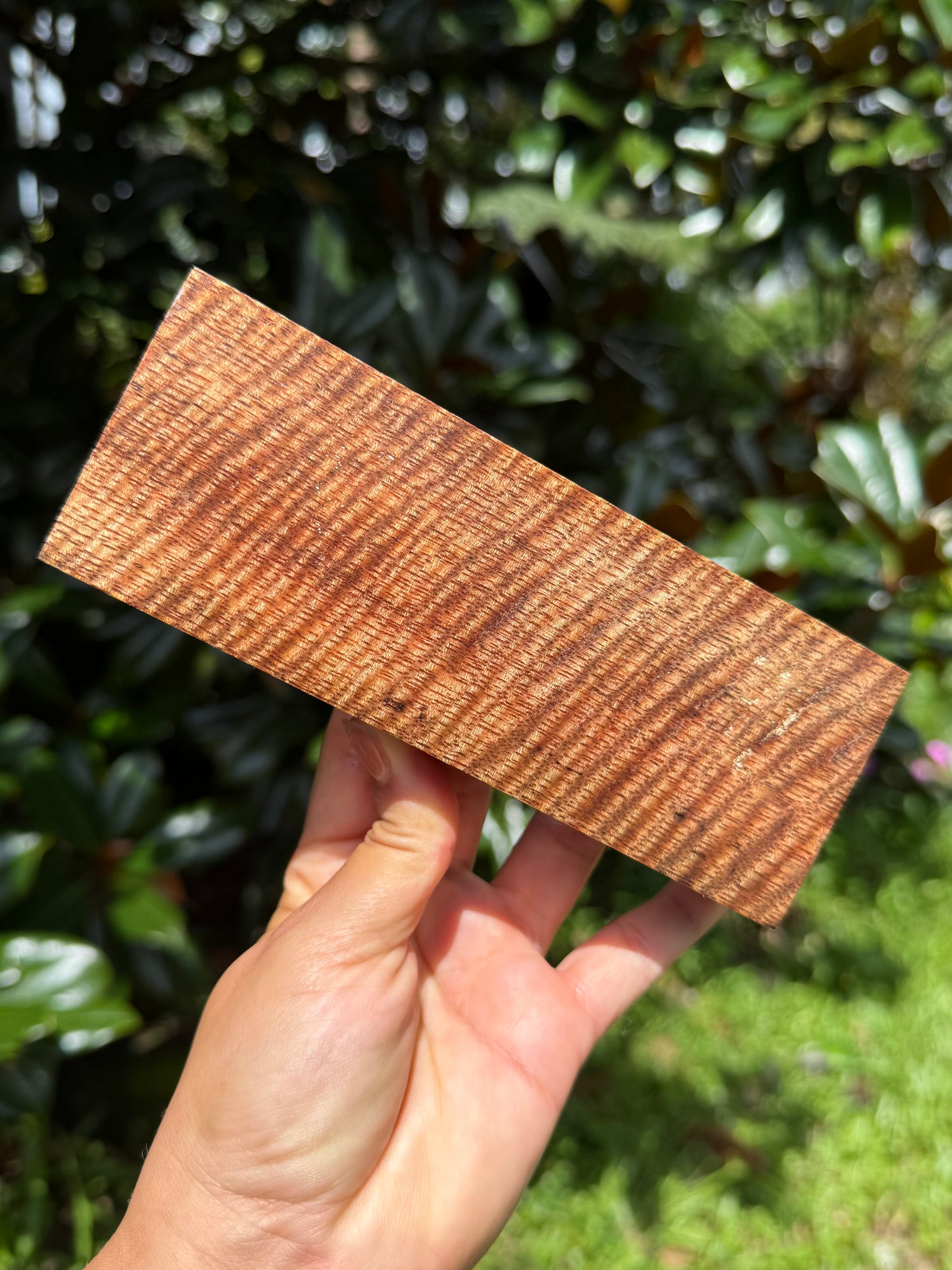 Hawaiian Stabilized Curly Mango Block #KS353