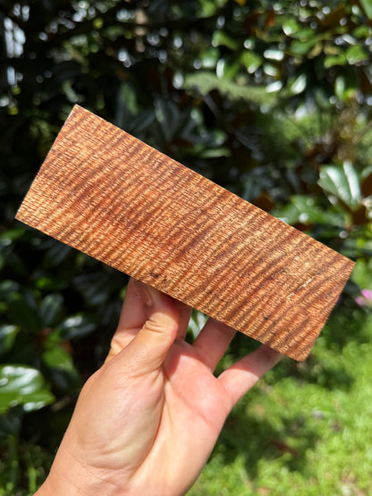 Hawaiian Stabilized Curly Mango Block #KS353