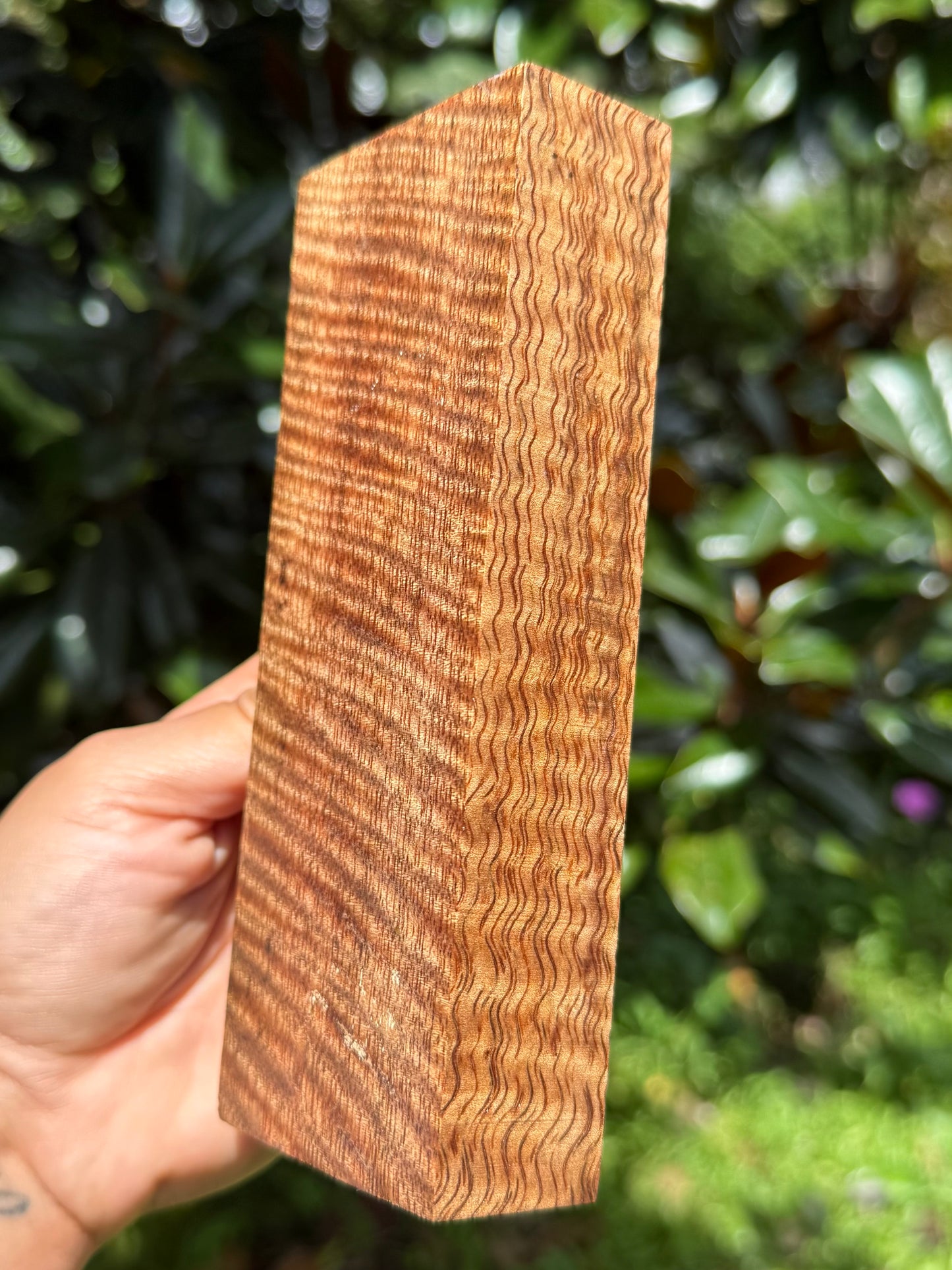 Hawaiian Stabilized Curly Mango Block #KS353