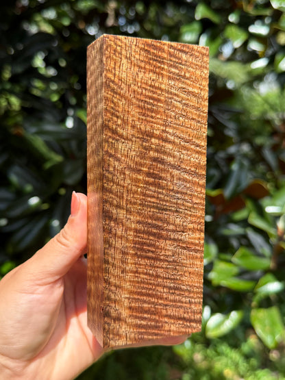 Hawaiian Stabilized Curly Mango Block #M481