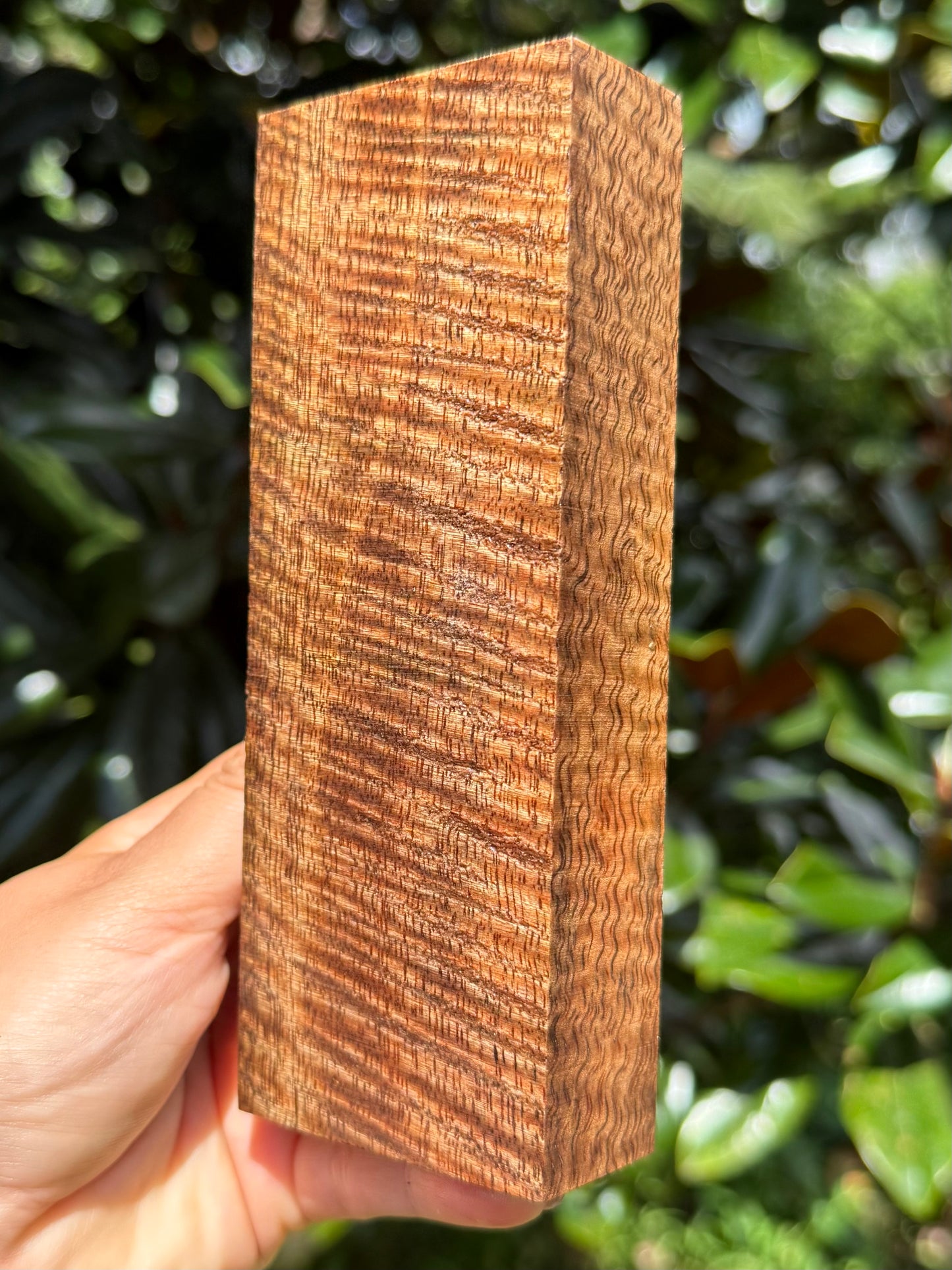 Hawaiian Stabilized Curly Mango Block #M481