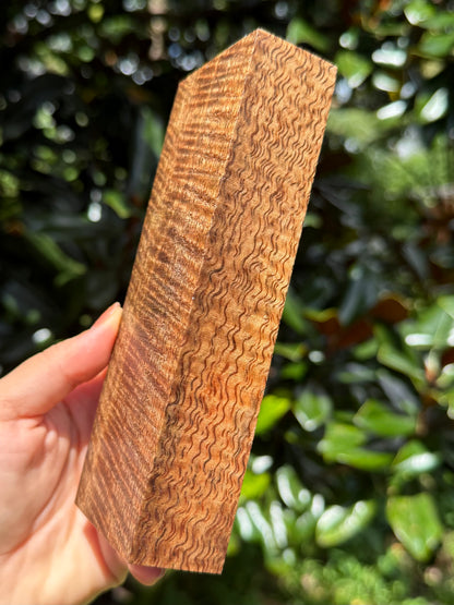 Hawaiian Stabilized Curly Mango Block #M481