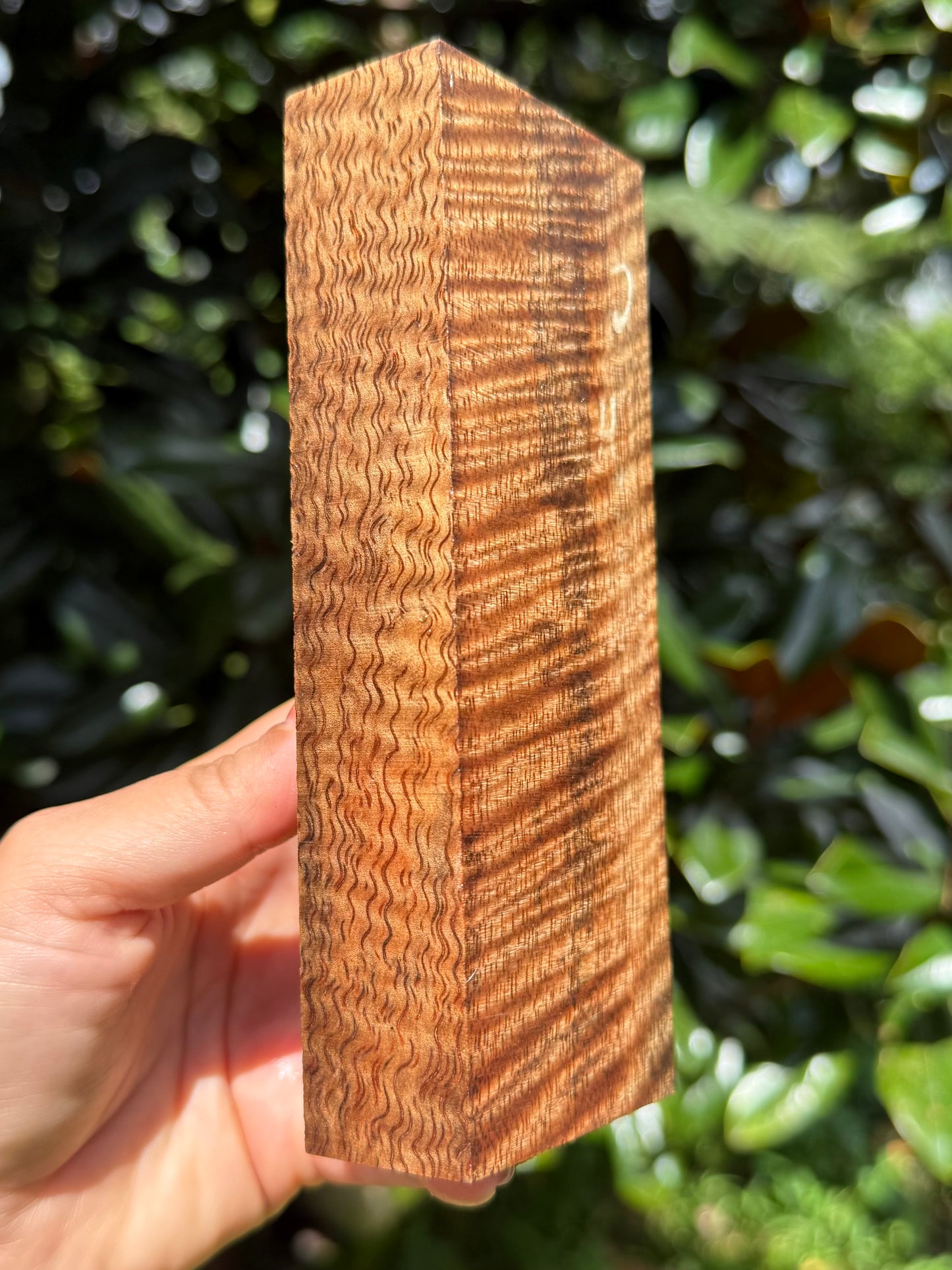 Hawaiian Stabilized Curly Mango Block #M481