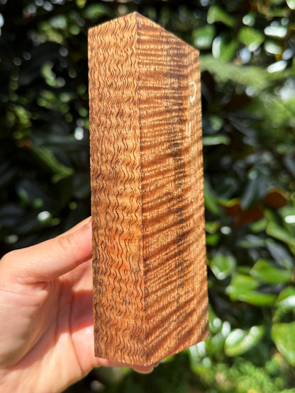 Hawaiian Stabilized Curly Mango Block #M481