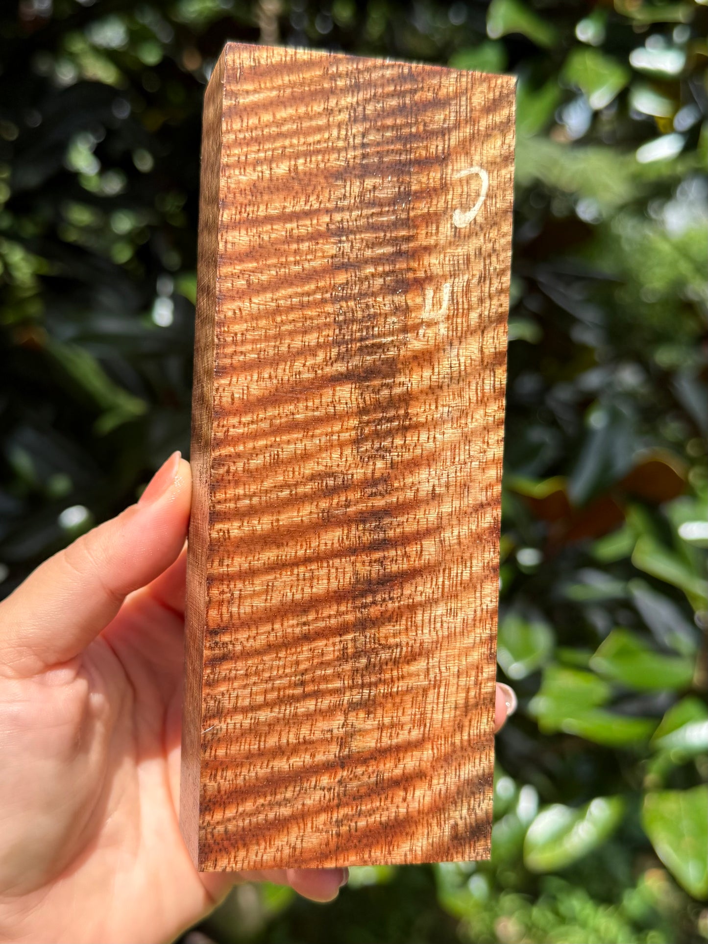Hawaiian Stabilized Curly Mango Block #M481