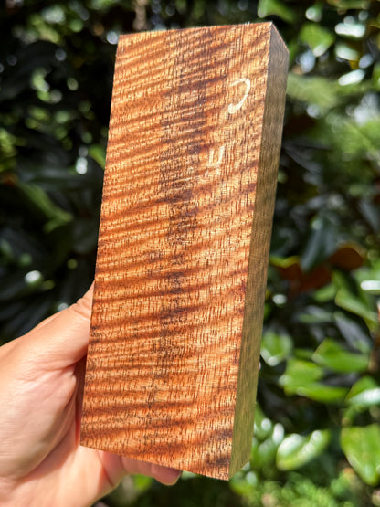 Hawaiian Stabilized Curly Mango Block #M481