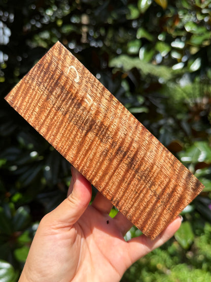 Hawaiian Stabilized Curly Mango Block #M481