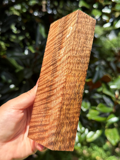Hawaiian Stabilized Curly Mango Block #M481