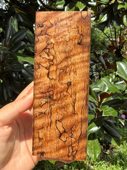 Hawaiian Stabilized Spalted Curly Mango Block #M416