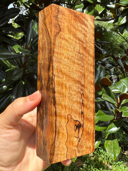 Hawaiian Stabilized Spalted Curly Mango Block #M416