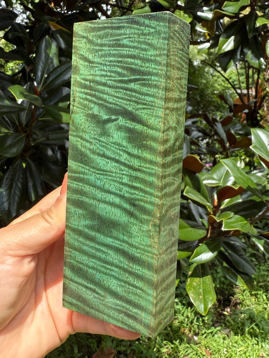 Hawaiian Stabilized Spalted Curly Mango Block #MC353