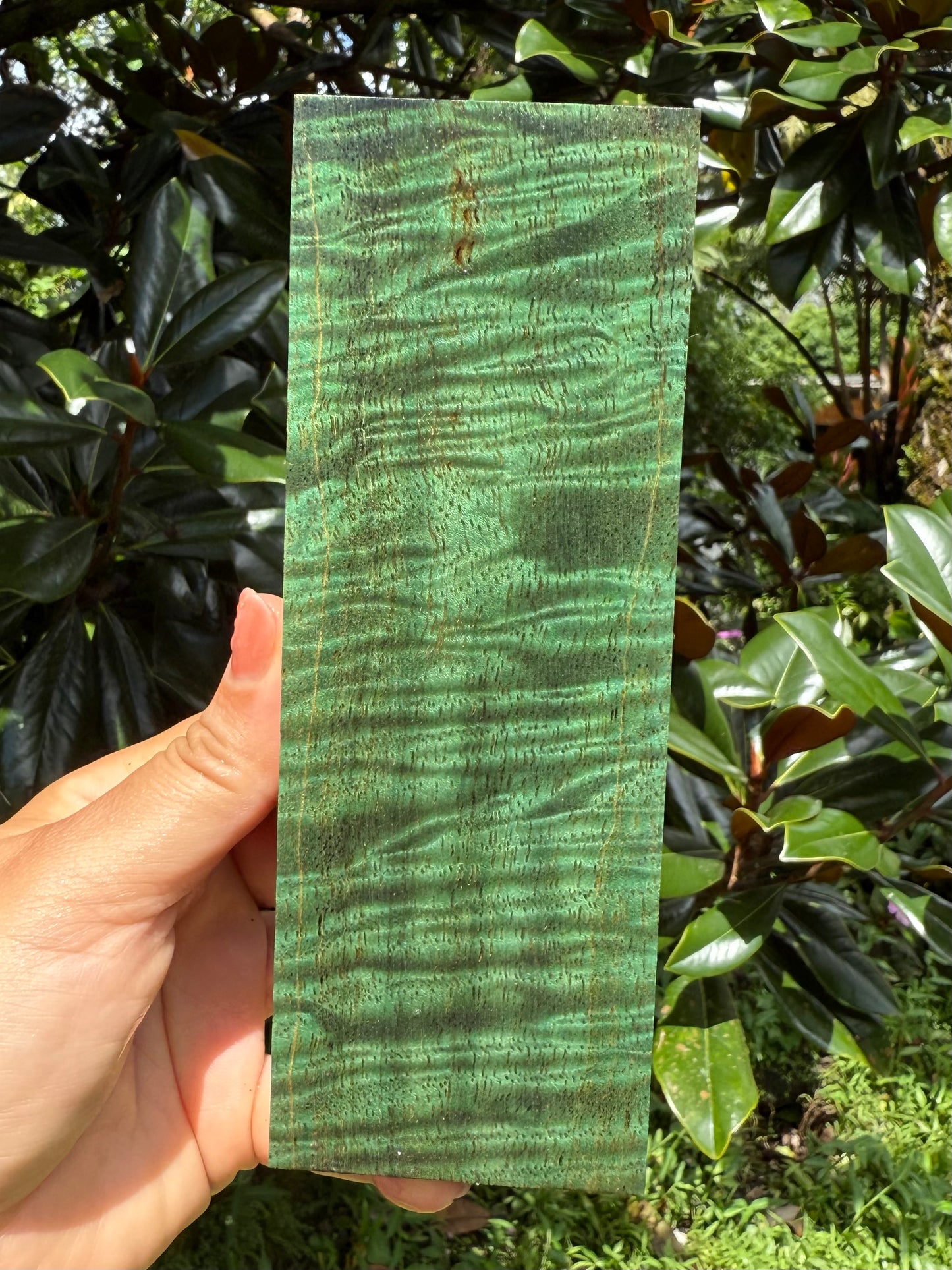 Hawaiian Stabilized Spalted Curly Mango Block #MC353