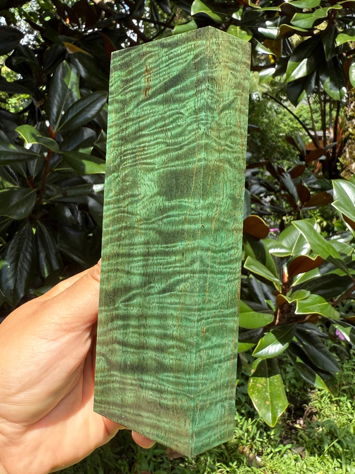 Hawaiian Stabilized Spalted Curly Mango Block #MC353