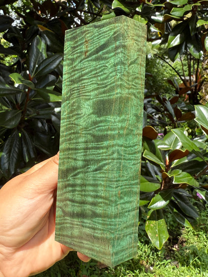 Hawaiian Stabilized Spalted Curly Mango Block #MC353