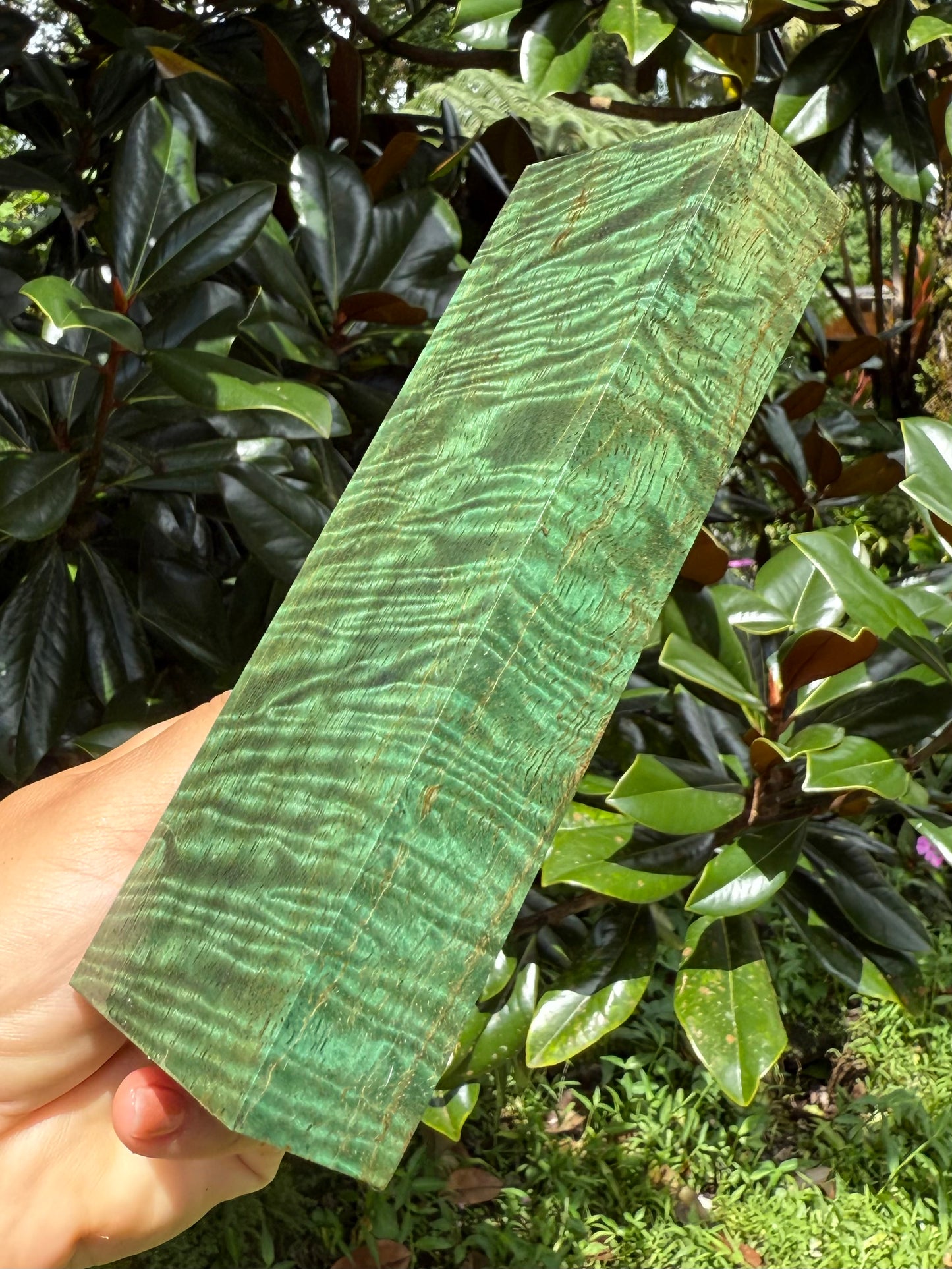 Hawaiian Stabilized Spalted Curly Mango Block #MC353